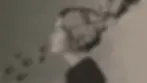 ree