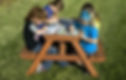 Removable Picnic Table