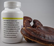 Pro Formula Reishi 500mg. of reishi extract with no fillers