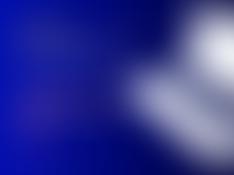 AUDIT: Evaluating Calls and Agents in a Contact Center