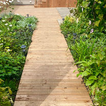 Pressure treated wood deck with built in bench and privacy screen in London Ontario.