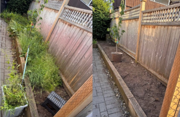 Lawn mowing and trimming service creating a clean, even finish