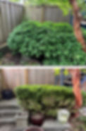 Picture35 - Copy-Picsart-AiImageEnhancer_edited.jpg