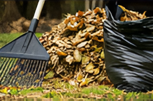 Professional lawn mowing and edging for a neat yard