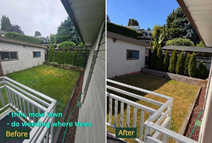 Hedge and bush trimming for a clean, shaped appearance