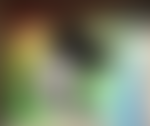 A Bridge of True Service