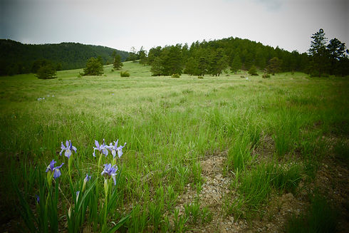 DSC_0255.jpeg