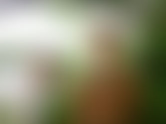 Arliston Unveil A Haunting Introduction to Heartbreak in New Single 'What Did I Think Would Happen'