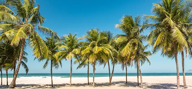 Best Things In Davenport Visit Davenport Florida