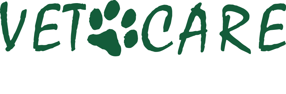 VET CARE - Logo Verde Bandeira e Branco.png