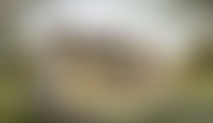 宜蘭台灣 住宅整體規劃設計案