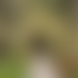 The Watcher at the Gate: A Journey Through the Labyrinth