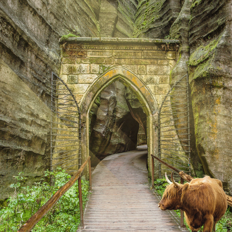 The Watcher at the Gate: A Journey Through the Labyrinth