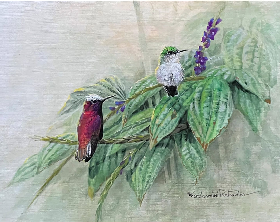 Sedona Hummingbird Festival July 25-27, 2025