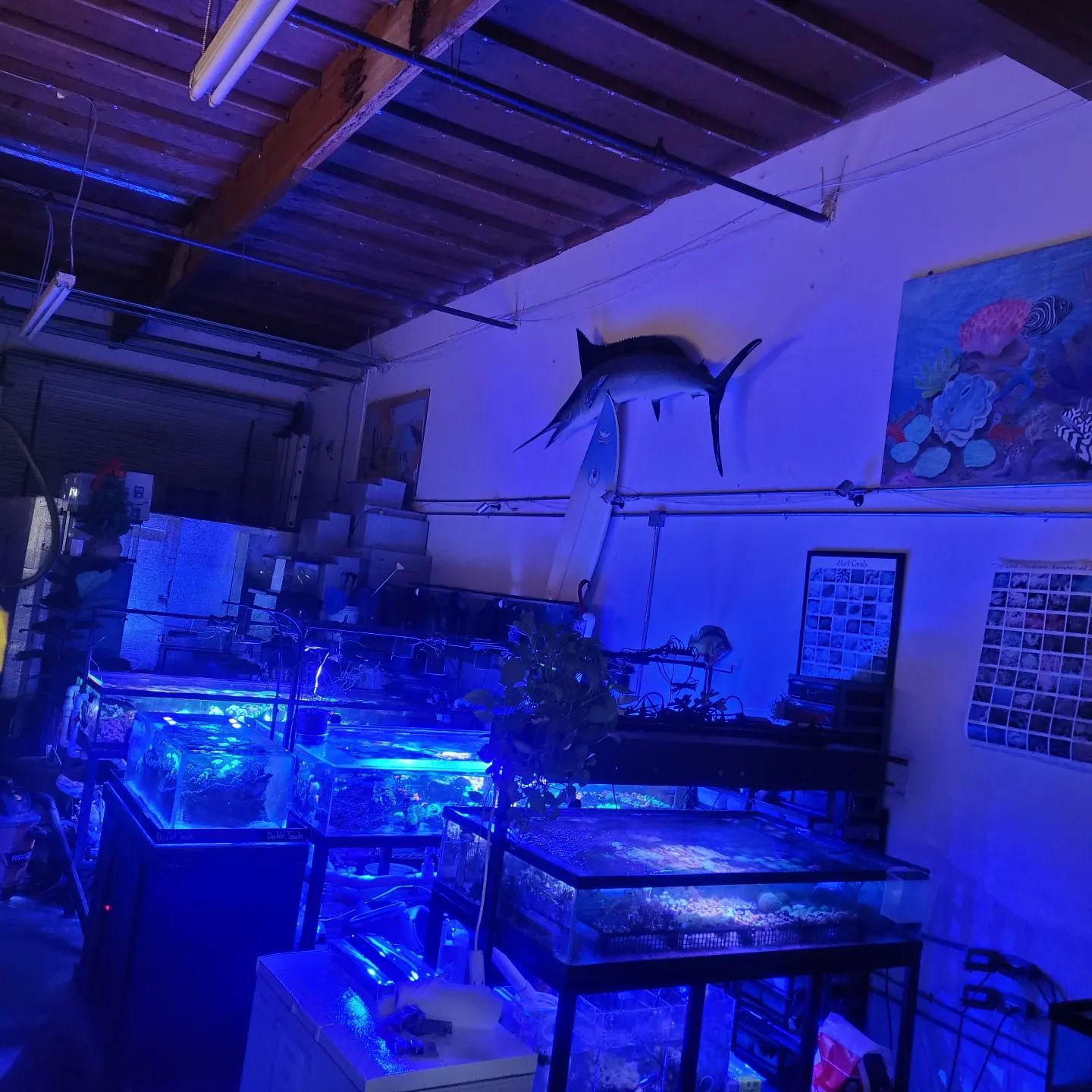 corals,and so much more!.
