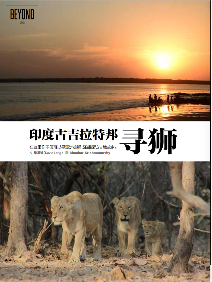 印度古吉拉特幫尋獅(Gujarat, India)
