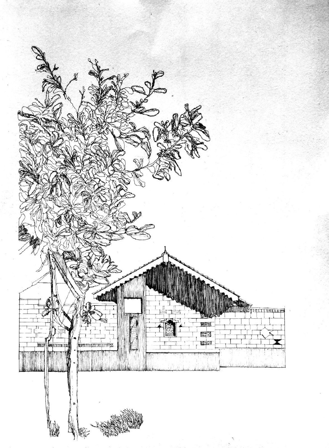 Vernacular Architecture