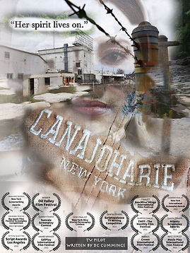 tv pilot canajoharie.jpeg