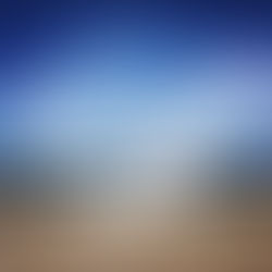 Visiting Professor - Day 7 - Rest