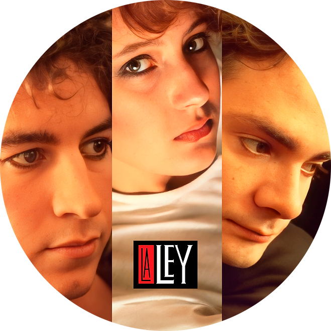 CARATULA 1988 PARA WEB 2.png