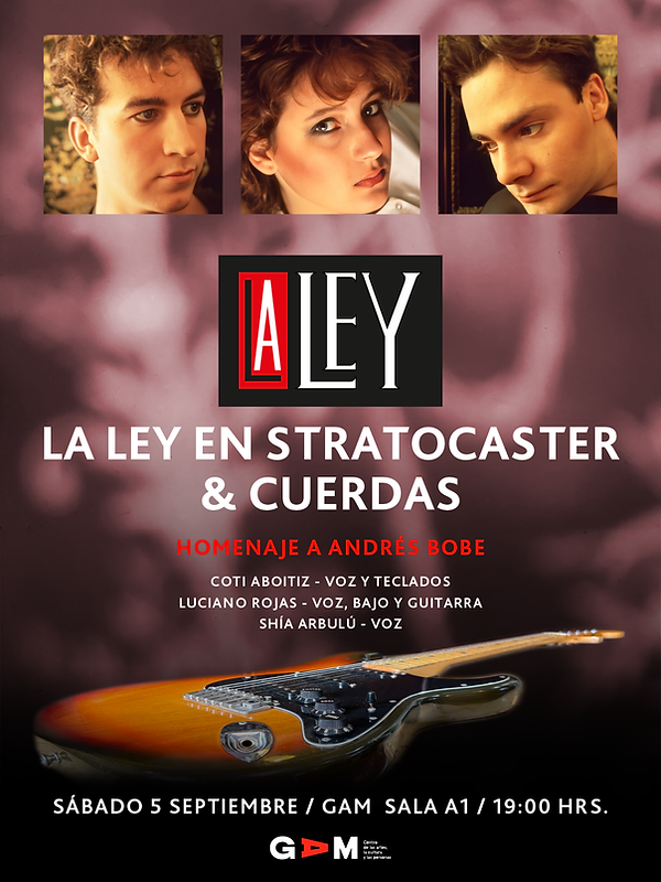 LA LEY EN ESTRATOCASTER 1080x1440 PX 140826 A-03.png