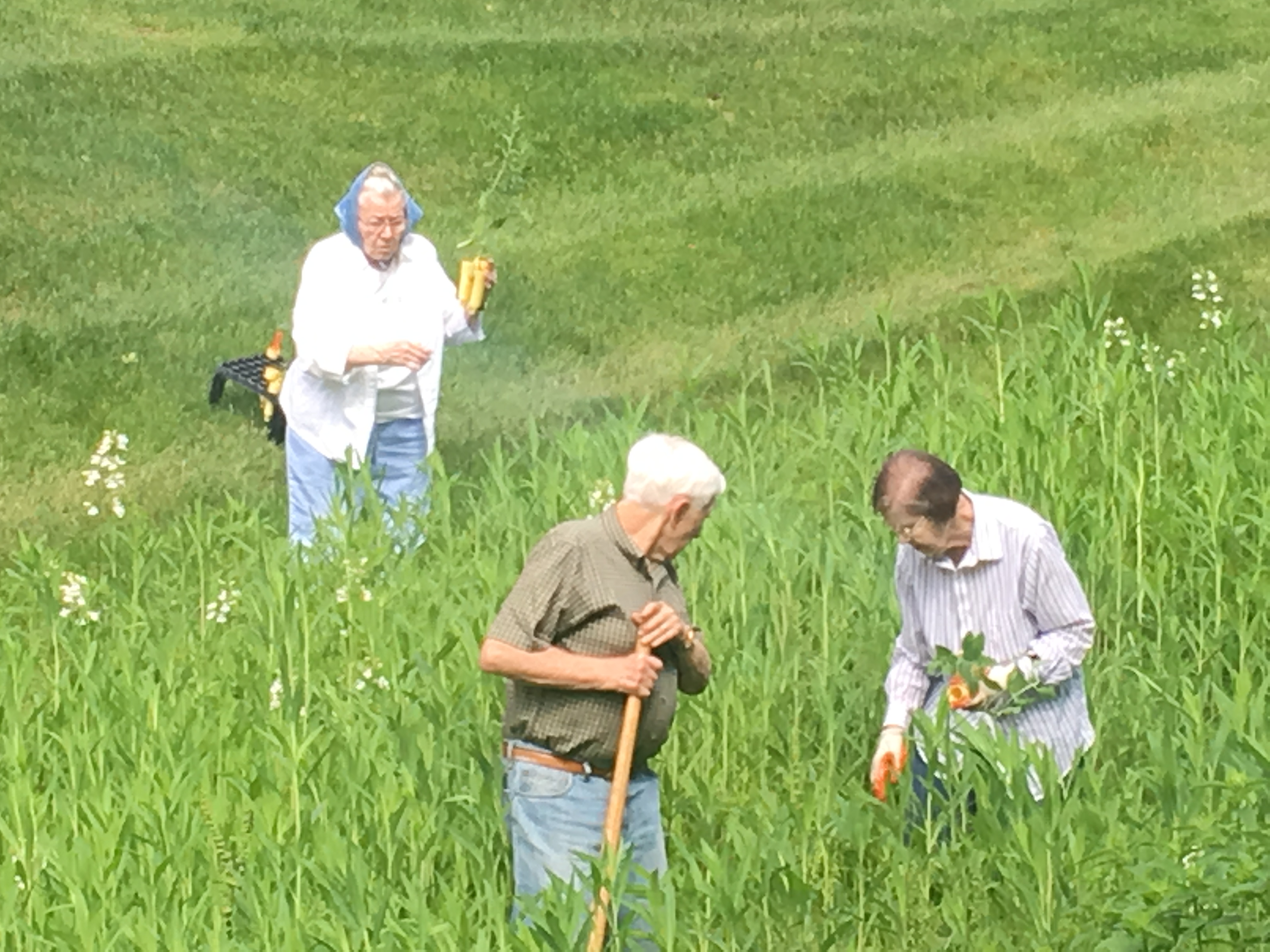 Prairie Garden 3