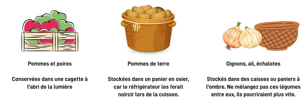 Pommes et poires : conservées dans une cagette à l'abri de la lumière. Pommes de terre : Stockées dans un panier en osier, car le réfrigérateur les ferait noircir lors de la cuisson. User Oignons, ail, échalotes : Stockés dans des caisses ou paniers à l'ombre. Ne mélangez pas ces légumes entre eux; ils pourriraient plus vite.