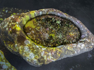 4 African-Centric Exhibitions Revolving Around Environmental Themes