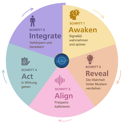 SYITF Process Circle Poster (50 x 60 cm)(1)_edited.png