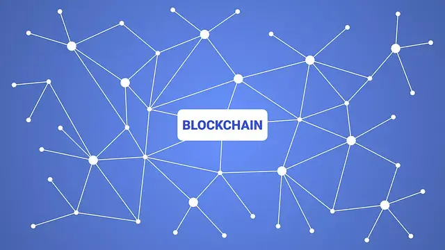 blockchain interconnection