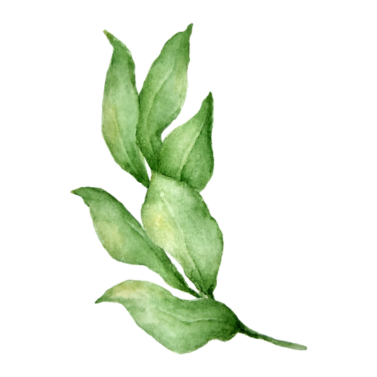 Leaves 4