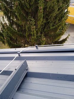 IMG_20220104_122839_1