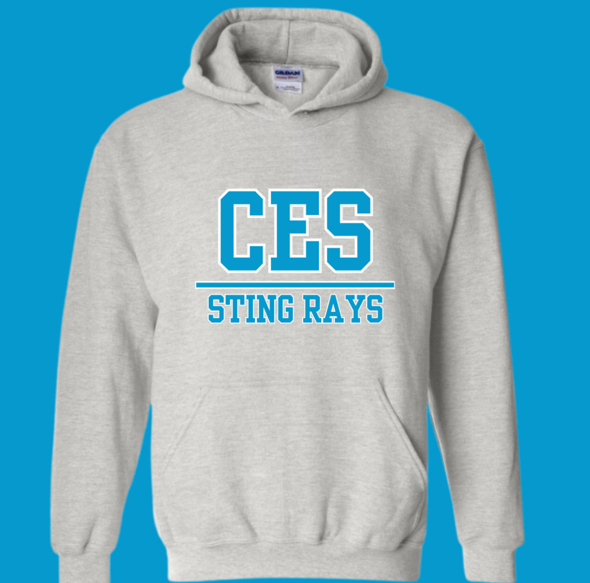 Adult CES Hoodie (Multiple color options)