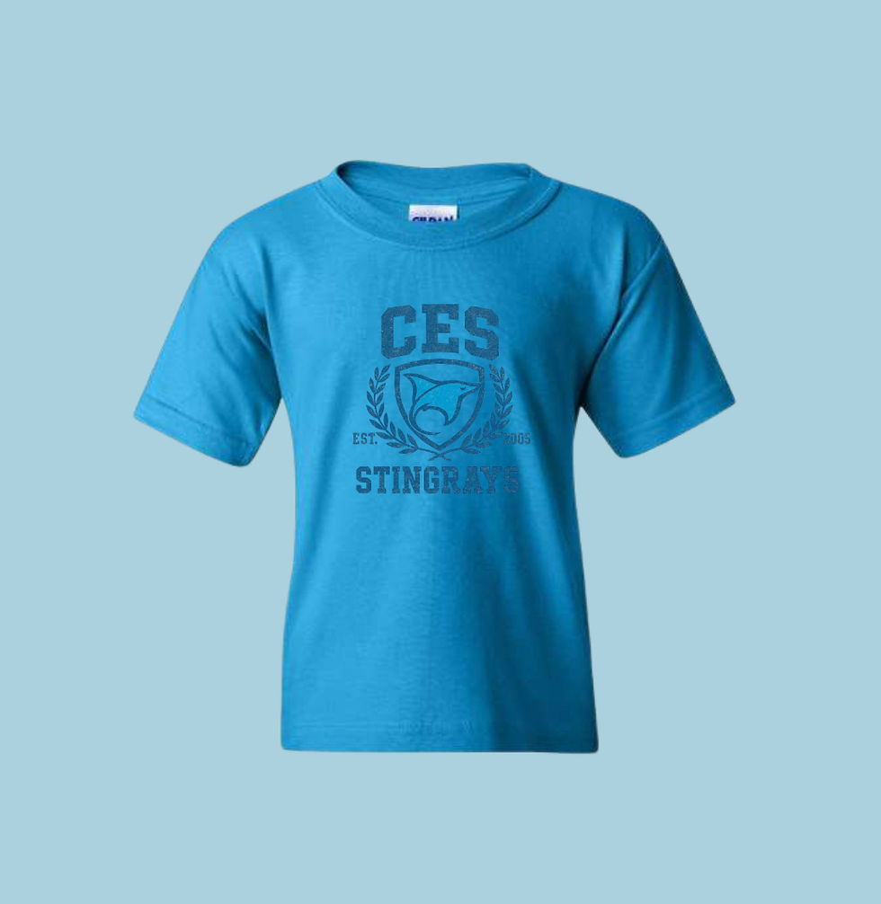 Thumbnail: CES Youth Tee *NEW LOGO* Multiple colours 