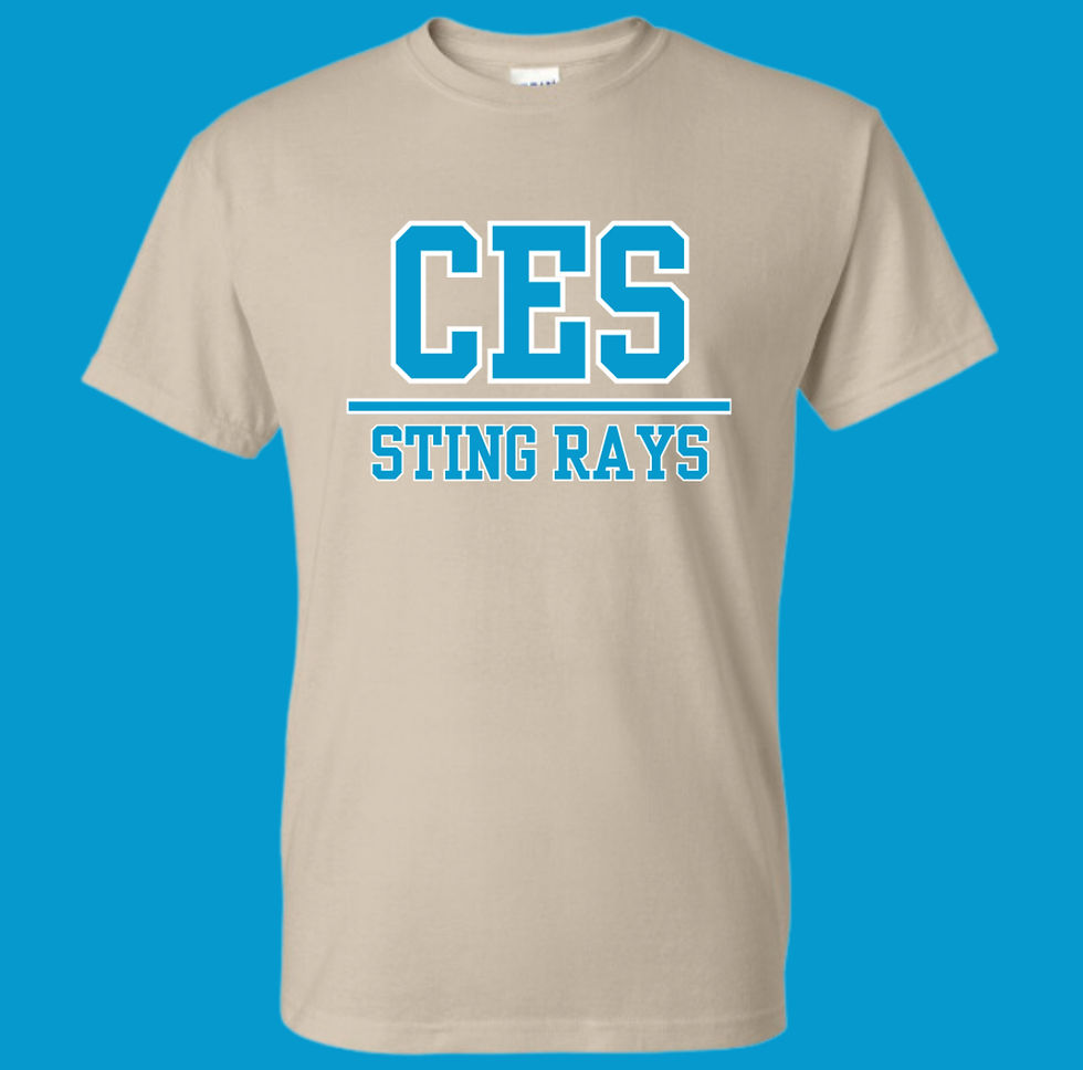 Thumbnail: Adult CES Tee (Multiple Color options)