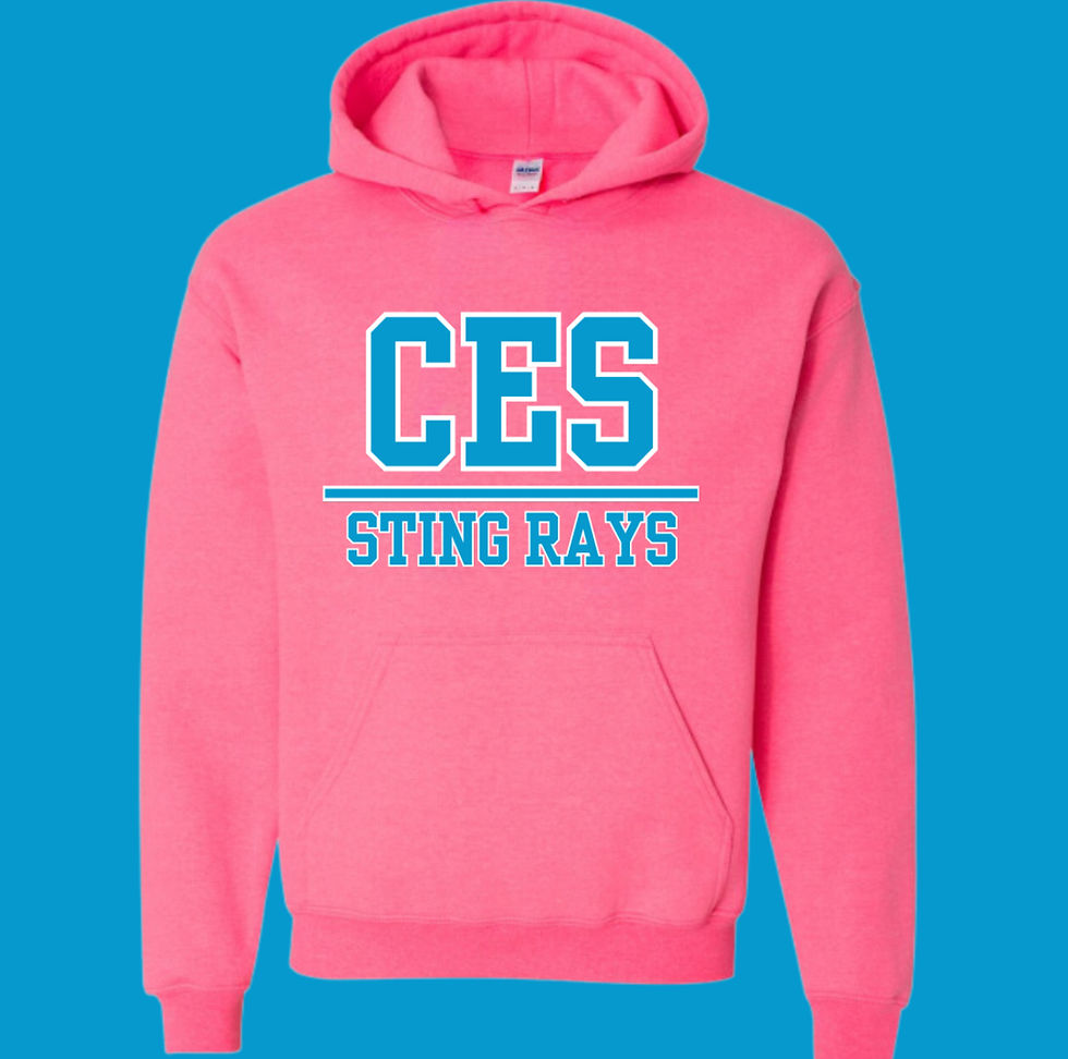 Thumbnail: Adult CES Hoodie (Multiple color options)