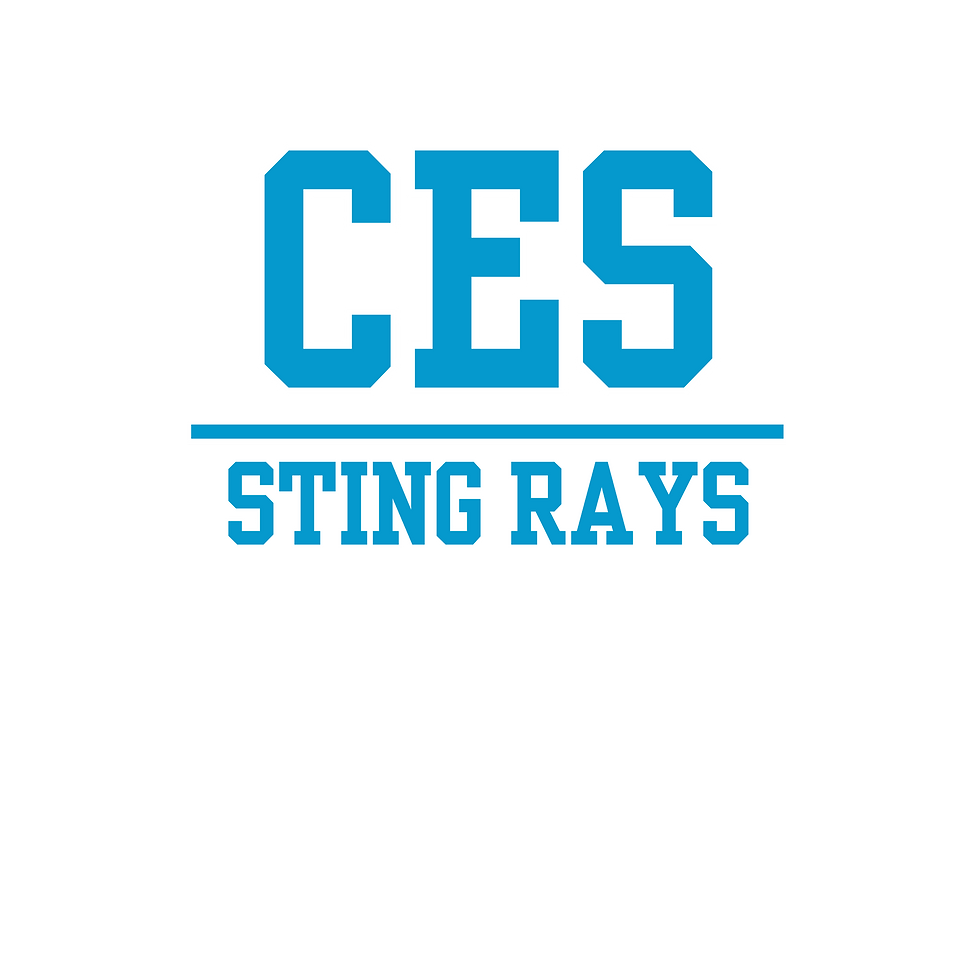 Bring your own clothing- CES front patch*Small*