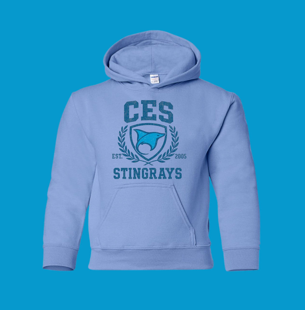 Thumbnail: CES Youth Hoodie *NEW LOGO* Multiple Colours