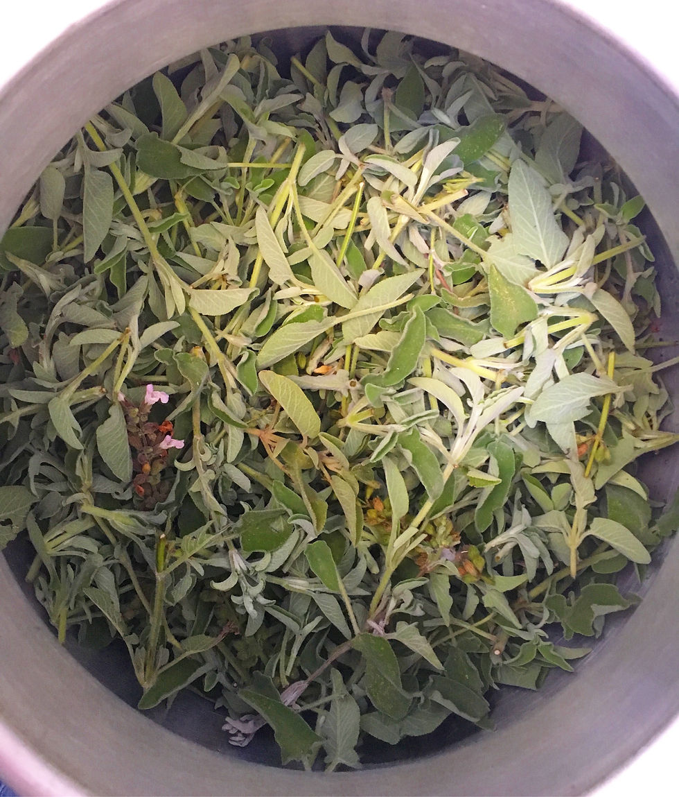 Adacayi distilasyonu