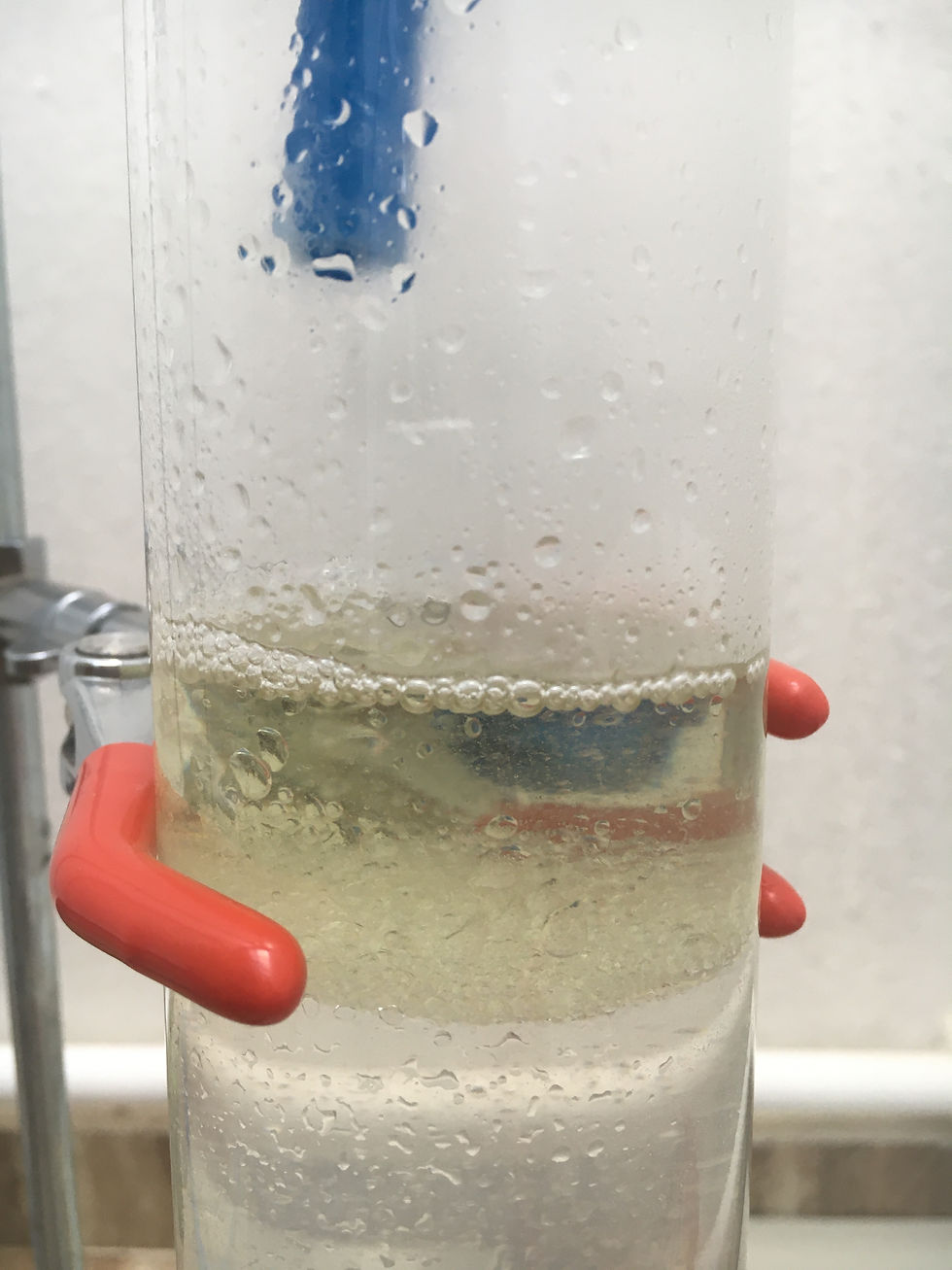Lavanta distilasyonu