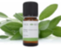 Adaçayı Uçucu Yağı