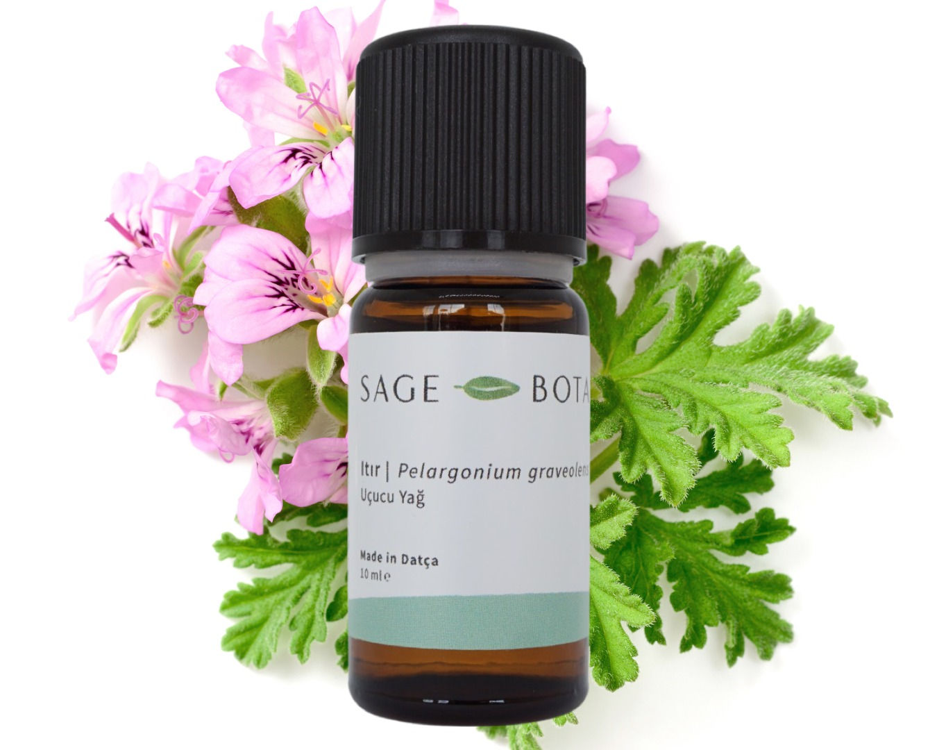 Geranium Essential Oil