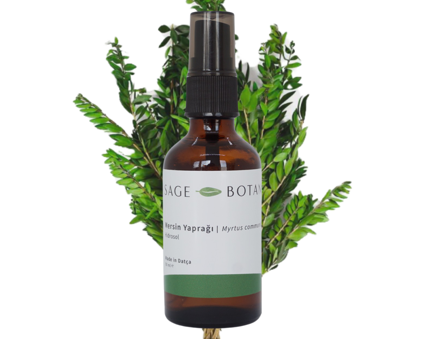 Myrtle Leaf Hydrosol