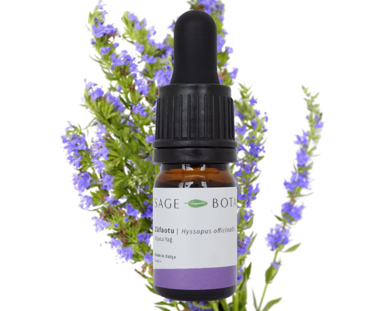 Cinnamon Essential Oil