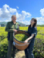 Thumbnail: Still Japanese Tea -Murakami Roasted-（村上ほうじ茶ボトリングティー）