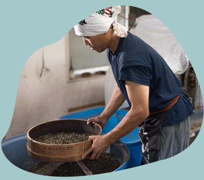 サムネイル： Mugwort（ボトリングティー）【サンプル】