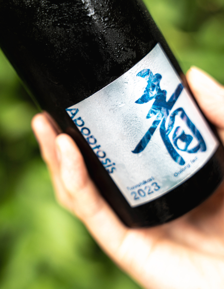 日本茶の魅力と中国茶の技術が融合した、クラシックでモダンな烏龍茶「青」