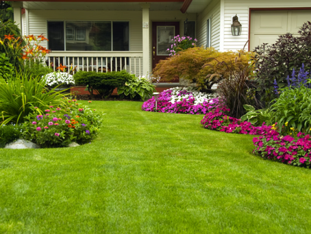 Enhancing Your Company's Visual Appeal with Commercial Landscape Design Services