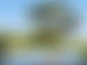 《不要養出一個啃老族,成為你一輩子的重擔》