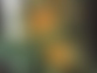 《懂得差異，才有平等》《There could be equanimity, only when you know the differences among things.》